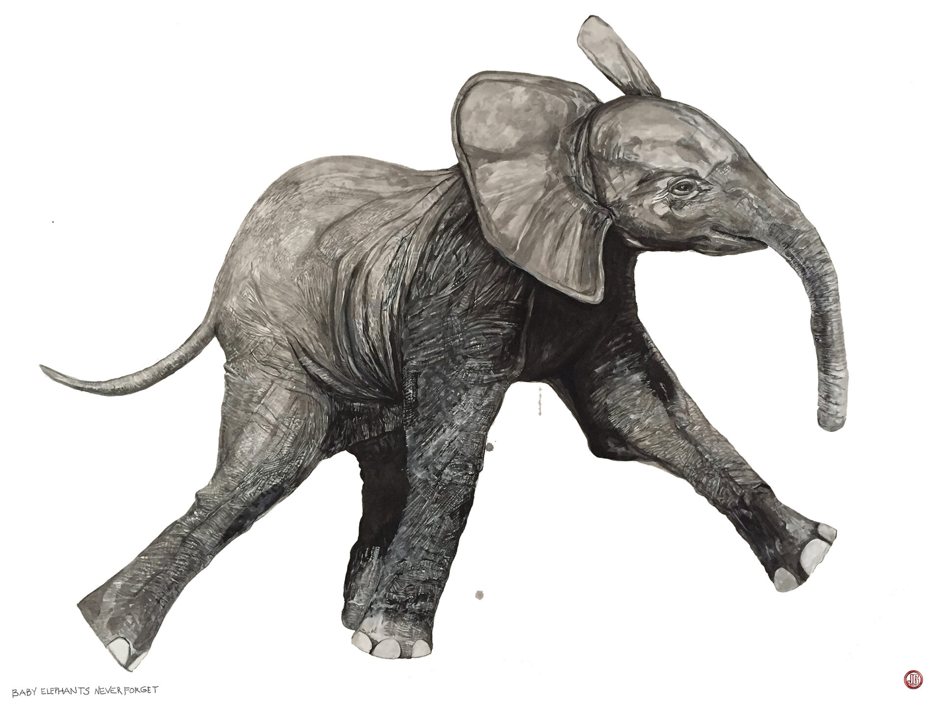 BABY ELEPHANTS NEVER FORGET