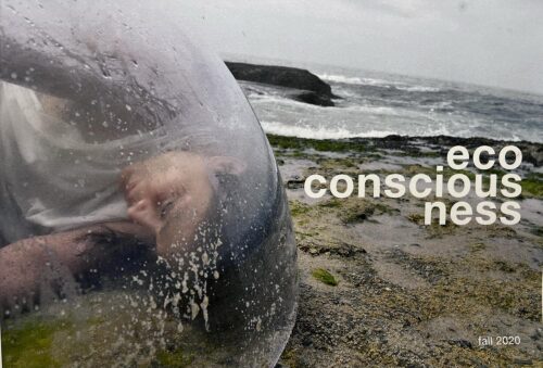 Eco-consciouness