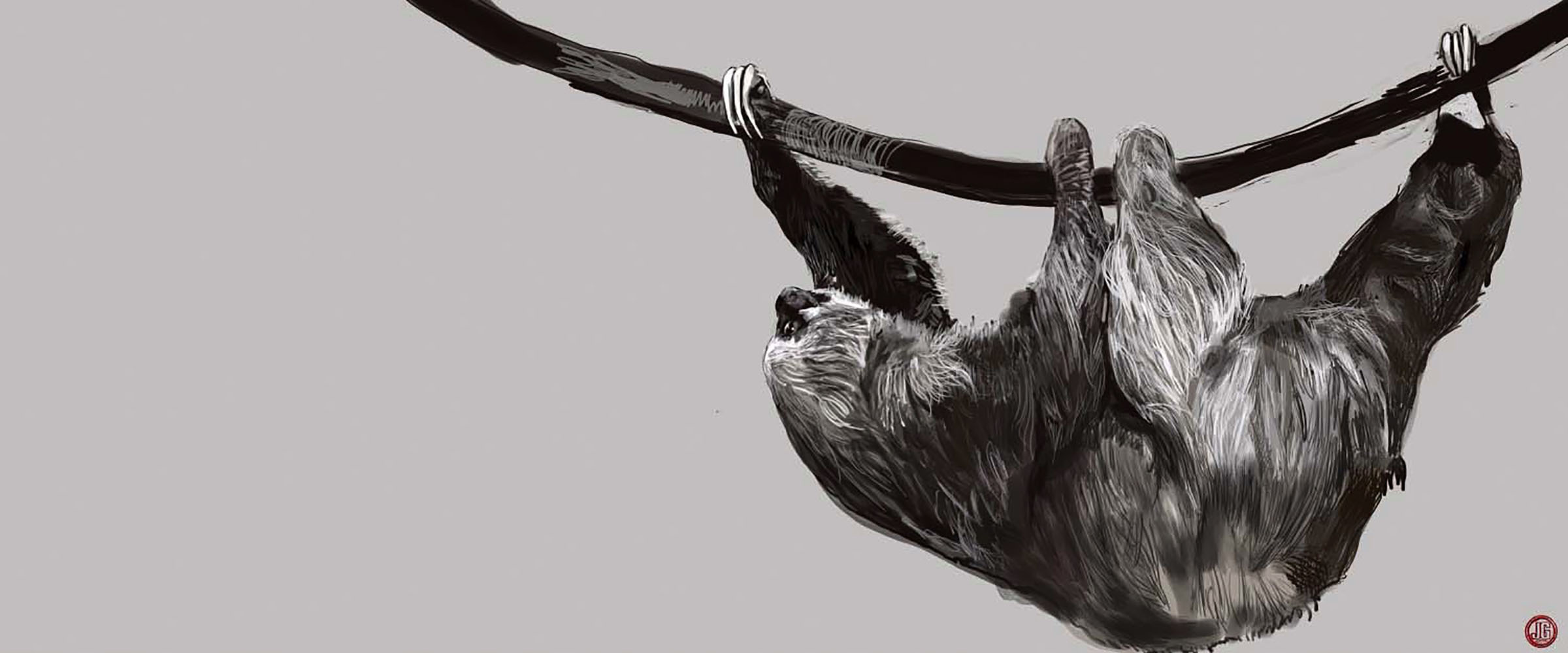 Moving SLOW SLOTH