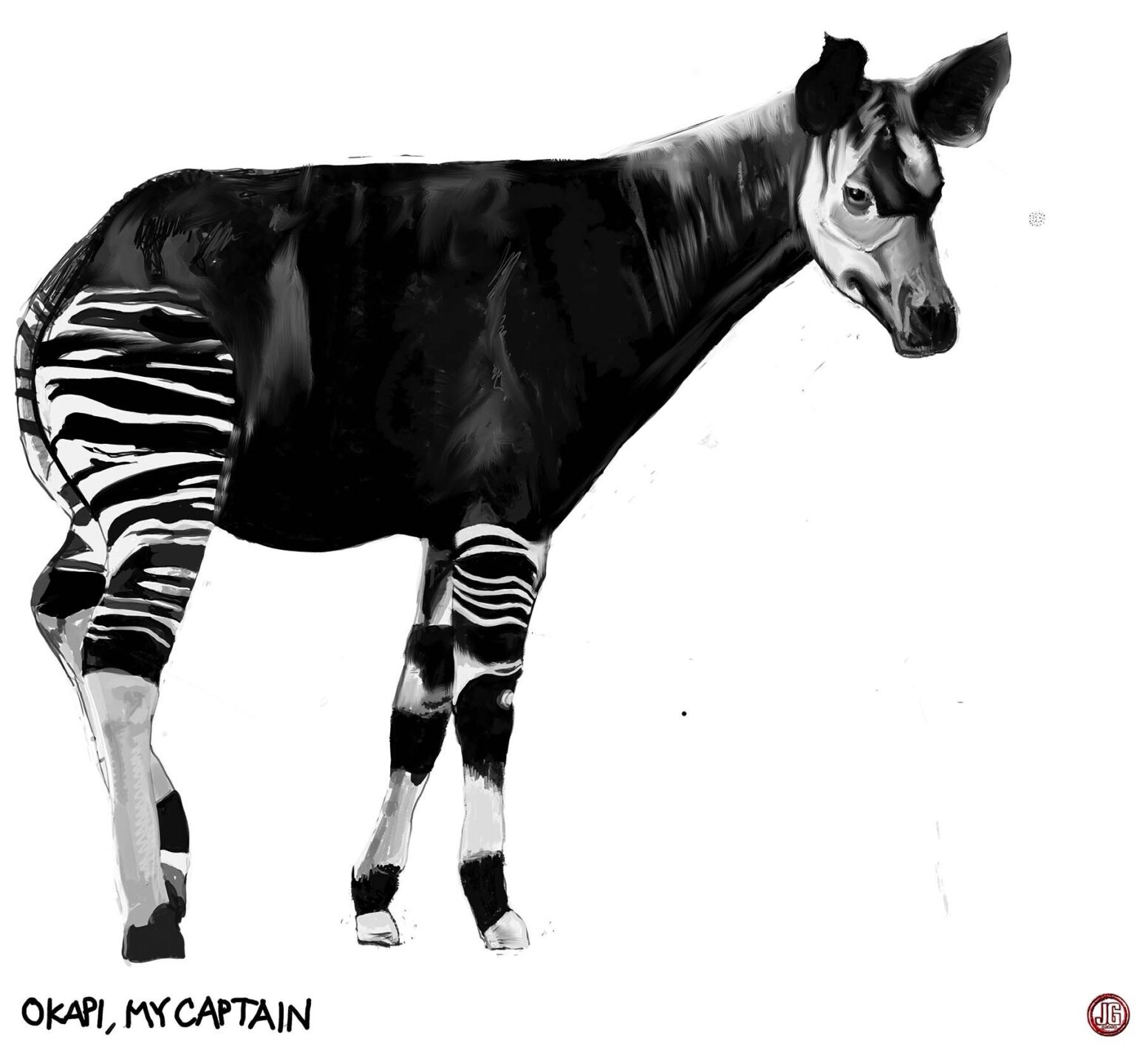 OKAPI MY CAPTAIN