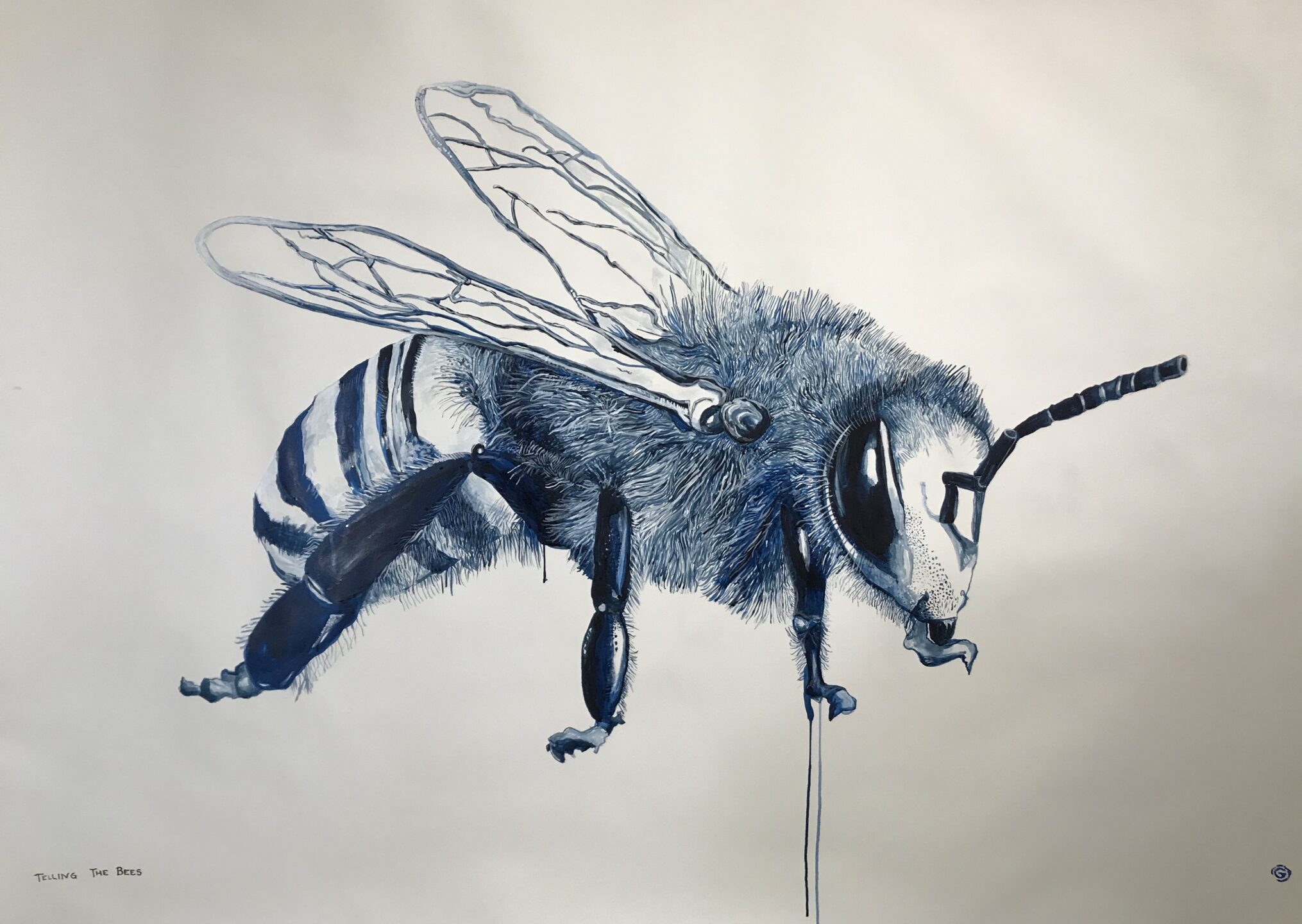 TELLING THE BEES