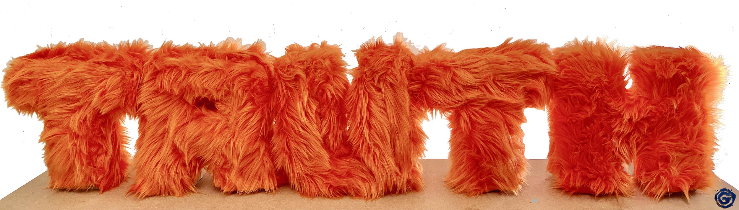 The Fuzzy Truth by Jon Goldman