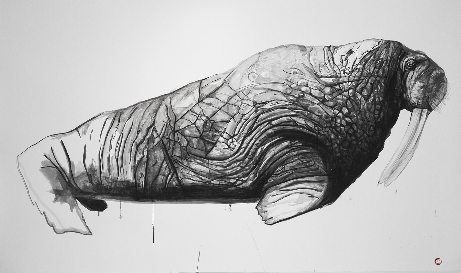 WE ARE THE WALRUS